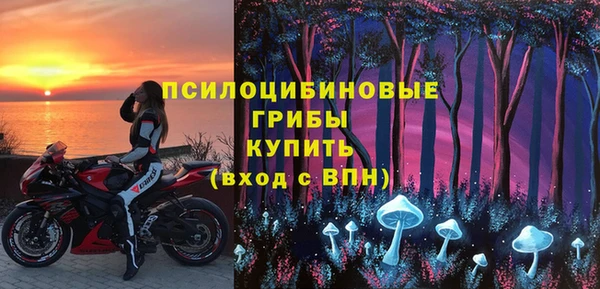 гашик Лагань