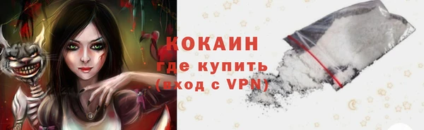 дживик Ладушкин