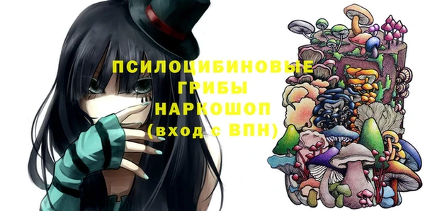 дживик Ладушкин