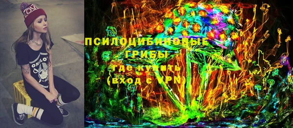 дживик Ладушкин