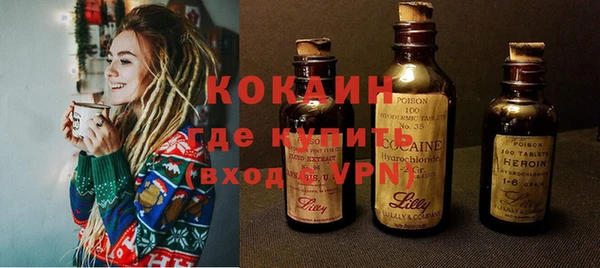 дживик Ладушкин