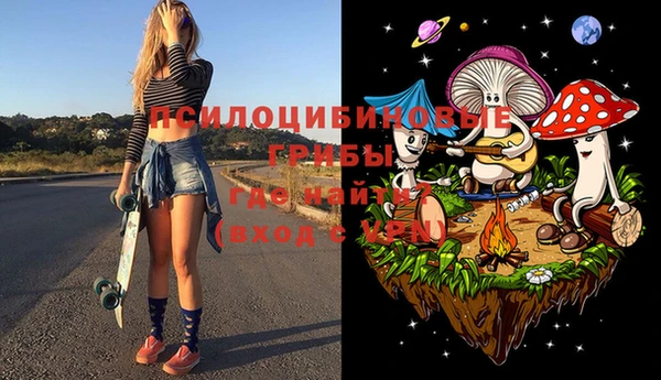 дживик Ладушкин
